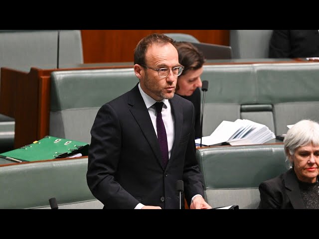 Greens ‘just as bad’ as rest of parliament with Adam Bandt taking private jet flights