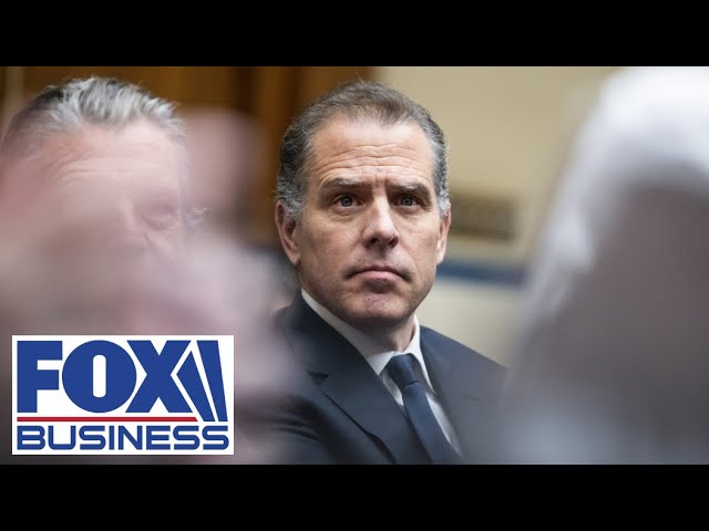 Hunter Biden is doing this because he has ‘daddy’s pardon power': Devine