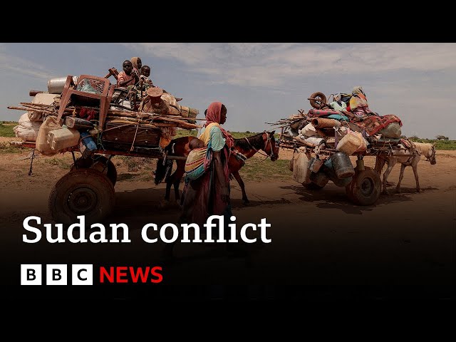 UN chief calls for Ramadan ceasefire in Sudan | BBC News