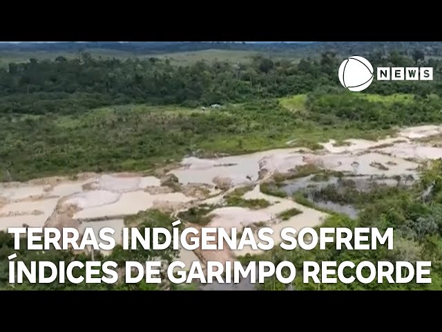 Terras indígenas sofrem índices de garimpo recorde