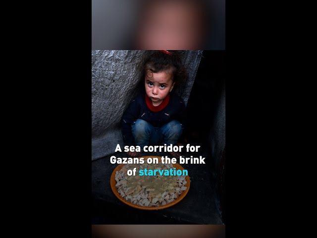 A sea corridor for Gazans on the brink of starvation