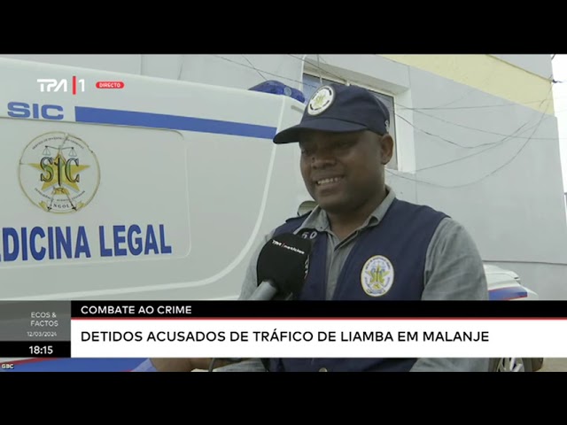 Combate ao Crime   Detidos acusados de tráfico de liamba em Malanje