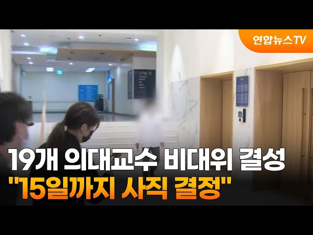 19개 의대교수 비대위 결성…"15일까지 사직 결정" / 연합뉴스TV (YonhapnewsTV)