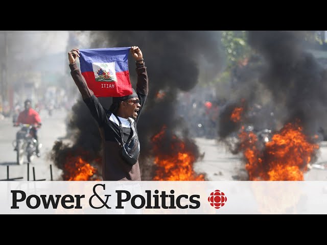 Haiti transitional council timeline up to the political parties, says Bob Rae | Power & Politics