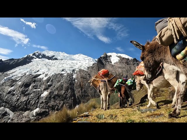 Reportaje al Perú: Cordillera Blanca (17/03/2024) Promo | TVPerú