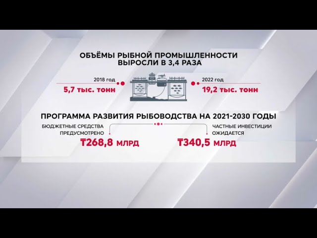 ⁣Объёмы рыбной промышленности растут в Казахстане