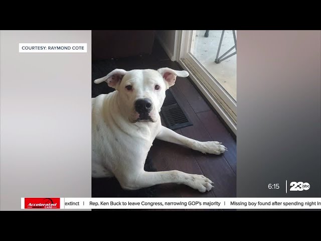 Dog shot by Cal City Police