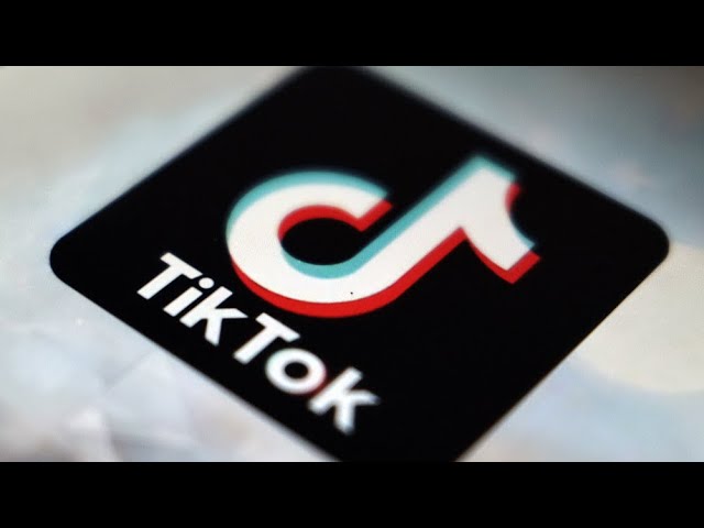 ⁣Elon Musk s'élève contre l'interdiction de TikTok aux États-Unis