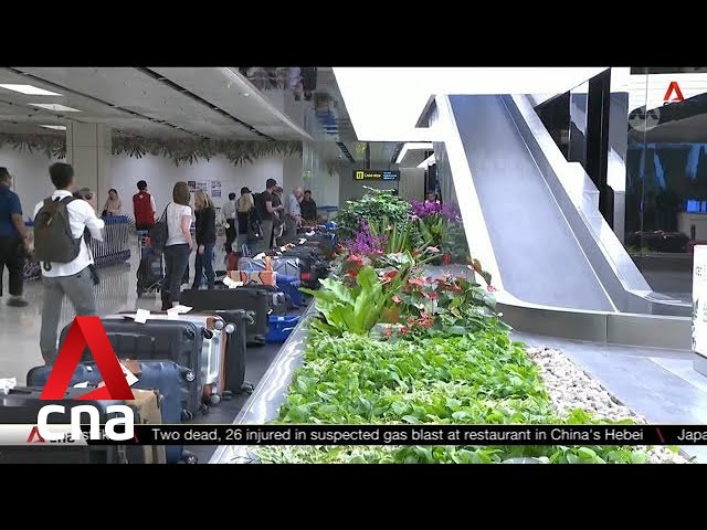 Changi Airport's passenger movements beat pre-pandemic levels in February