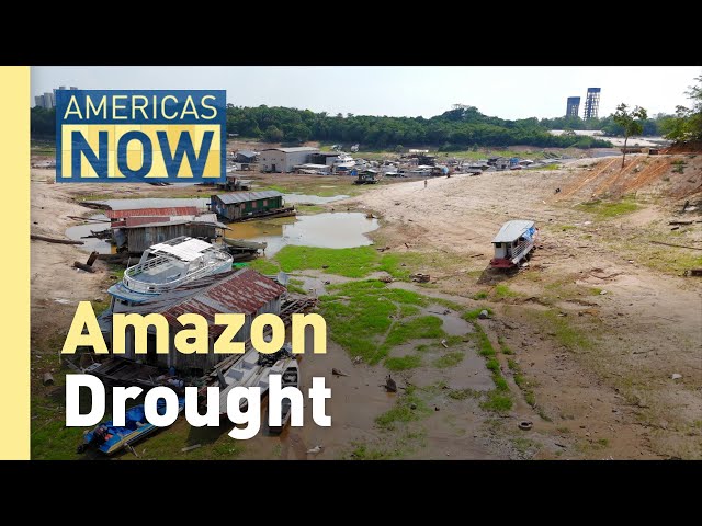 Record drought in Brazil raises concerns for the future of the Amazon Rainforest.