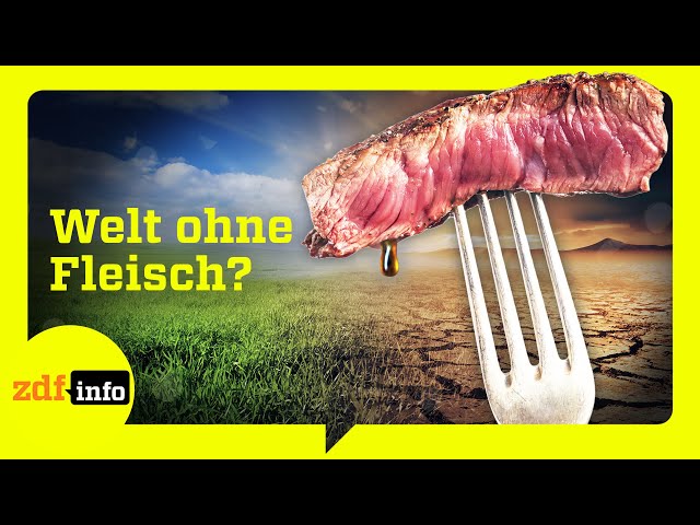 Algen statt Steak: Die Zukunft unserer Ernährung | ZDFinfo Doku