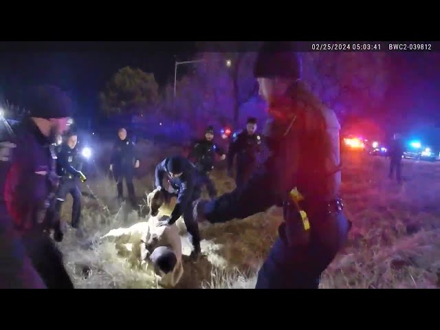 Bodycam video: Two officers suspended after use of force in Sterling Heights arrest