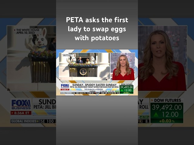 PETA wants Jill Biden to make this big change for the White House Easter Egg Roll #shorts