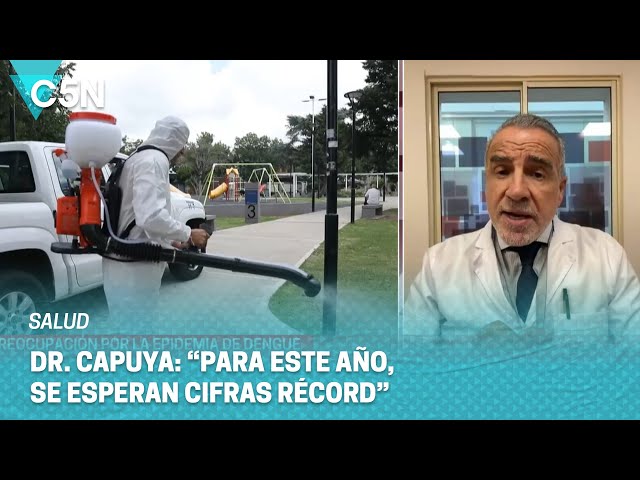 Crece la PREOCUPACIÓN por los AUMENTOS de CASOS de DENGUE