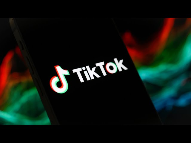 Putting TikTok ‘out of business’ in the US will have a ‘global impact’