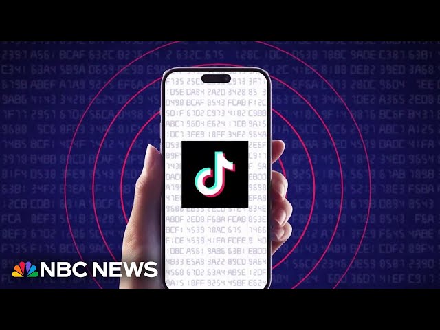 Many U.S. officials call TikTok a national security threat