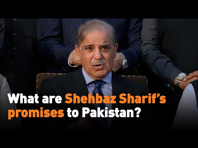 What are Shehbaz Sharif’s promises to Pakistan?