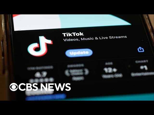 Is TikTok a threat to national security?