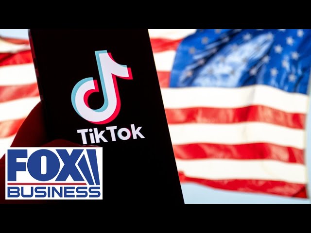 Kudlow accuses TikTok of being a big ‘spying’ operation, calls for US ban