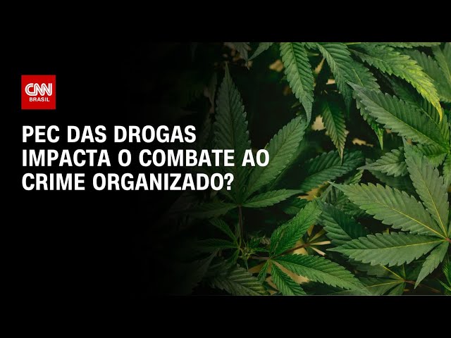 Cardozo e Coppola debatem se PEC das drogas impacta o combate ao crime organizado | O GRANDE DEBATE