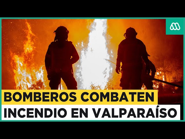 Bomberos combaten el fuego en Valparaíso: Cerro Cordillera es afectado por focos de incendios