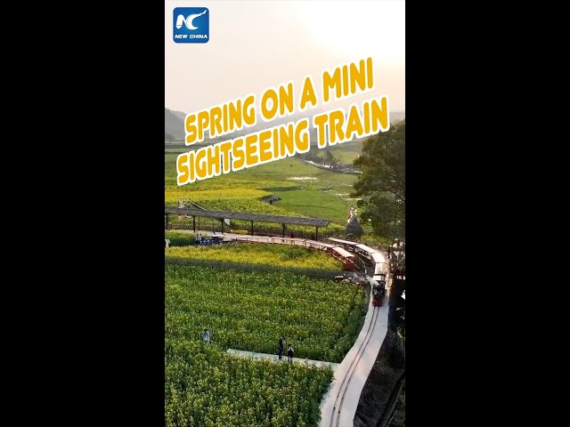 Spring on a mini sightseeing train in China's Wuyuan