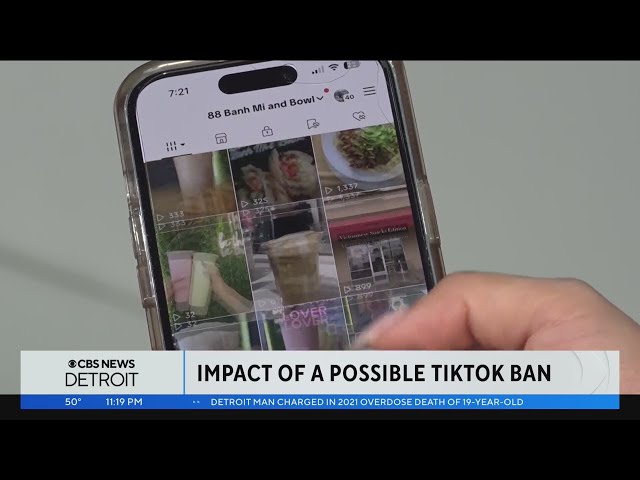 Michigan businesses speak on TikTok as lawmakers vote on legislation to ban platform