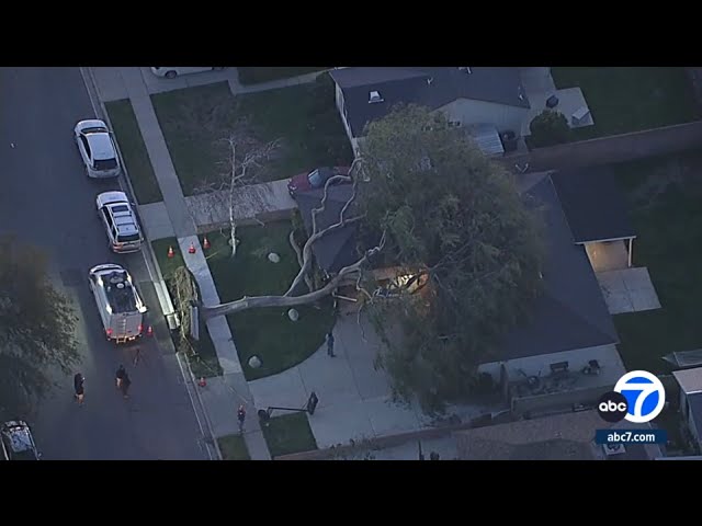 Tree crashes down on Simi Valley home amid strong winds