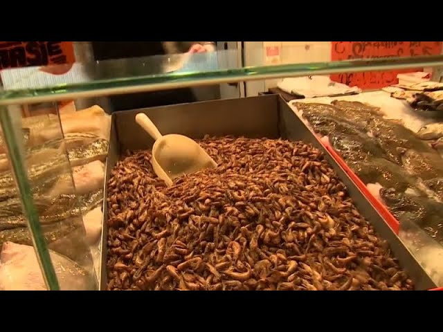 ⁣Belgique : la pénurie de crevettes  entraîne une hausse des prix