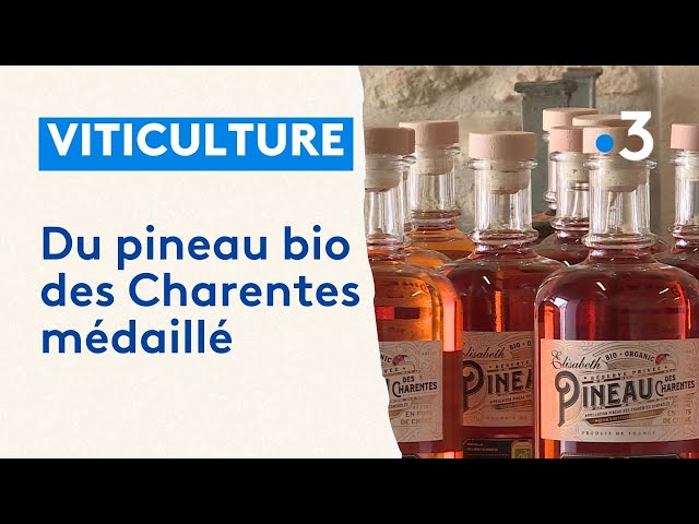 Viticulture : du pineau bio des Charentes médaillé au concours général agricole