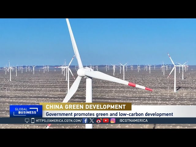 Global Business: Spotlight on China's Green Development Initiatives