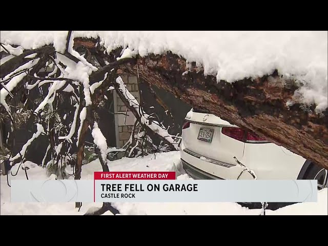 Tree falls on garage in Castle Rock