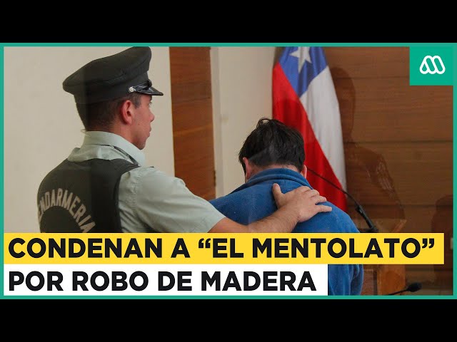 Condenan a "El Mentolato" por robo: Delincuente sustraía madera en la Araucanía