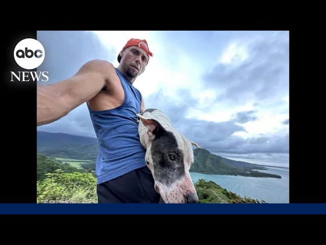 Hiker rescues dog from Hawaii mountain