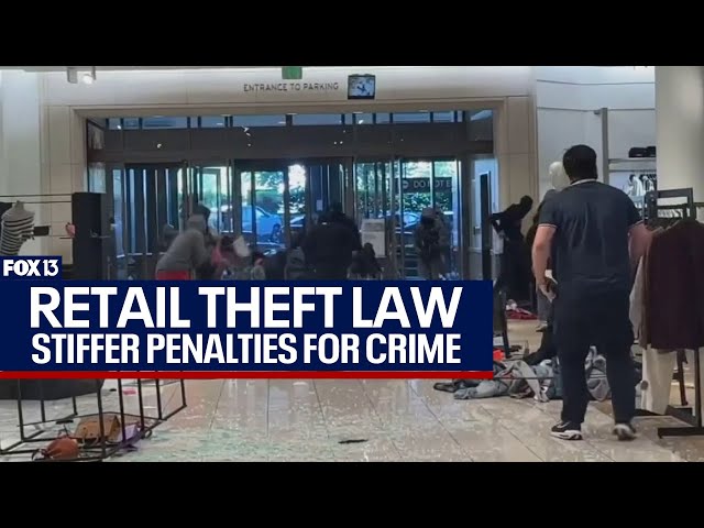 Florida retail theft law: Impact in the courtroom