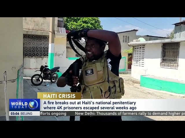 Robert Fatton Jr. on Haiti crisis