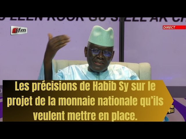 Projet de la monnaie nationale - Habib Sy apporte des précisions : "On peut bien l'avoir&q