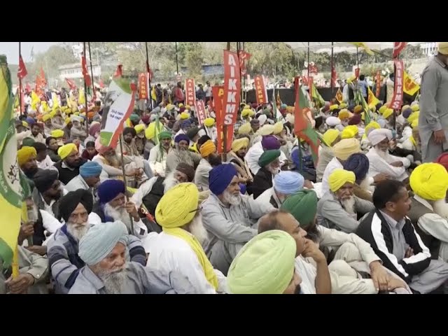 ⁣Тысячи фермеров в Индии вновь вышли на протесты