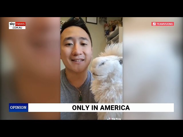 ‘Lunacy’: Sky News host reacts to teacher using ‘non-binary’ alpaca to stop misgendering