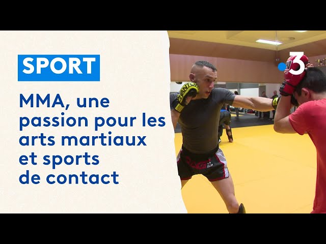 Arts martiaux : entraînement MMA combat de boxe