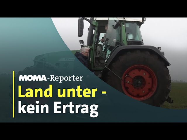 Wie die Bauern unter Dauerregen und Überschwemmungen leiden | ARD-Morgenmagazin