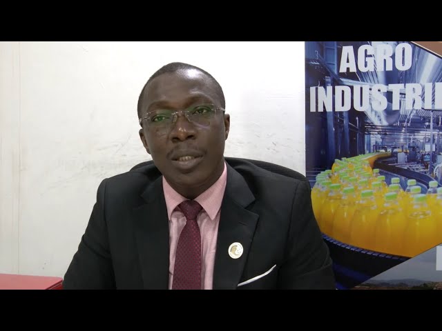 GLOBALink | Expert in Cote d'Ivoire expresses confidence in China's economic growth