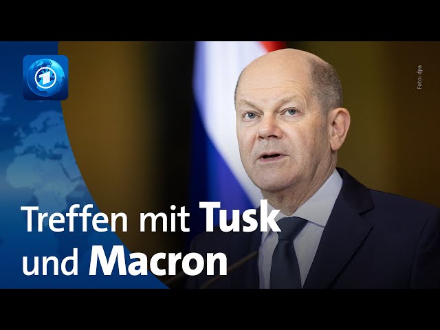 Scholz, Macron und Tusk beraten zu Ukraine-Politik