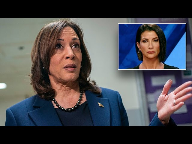 Dana Loesch blasts Kamala Harris for 'clown show' amid border crisis