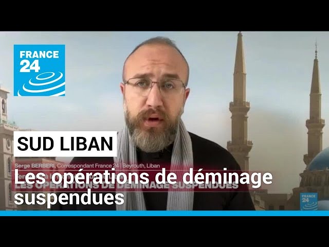 Tensions à la frontière Sud du Liban : les opérations de déminage suspendues • FRANCE 24