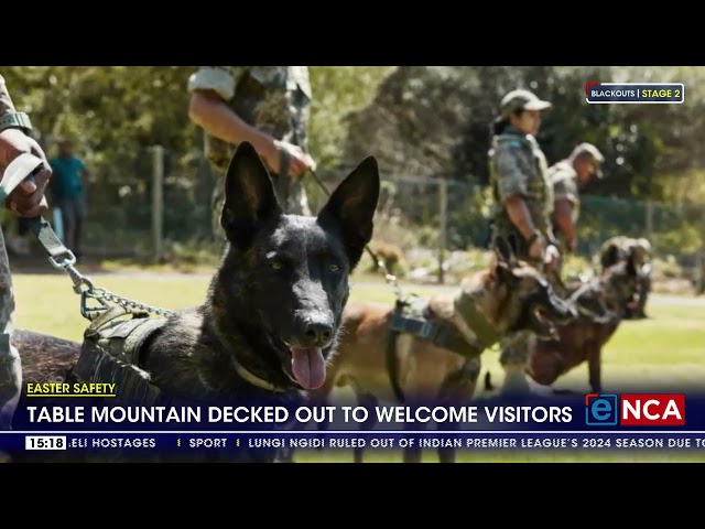 Easter Safety | Table Mountain decked out to welcome visitors