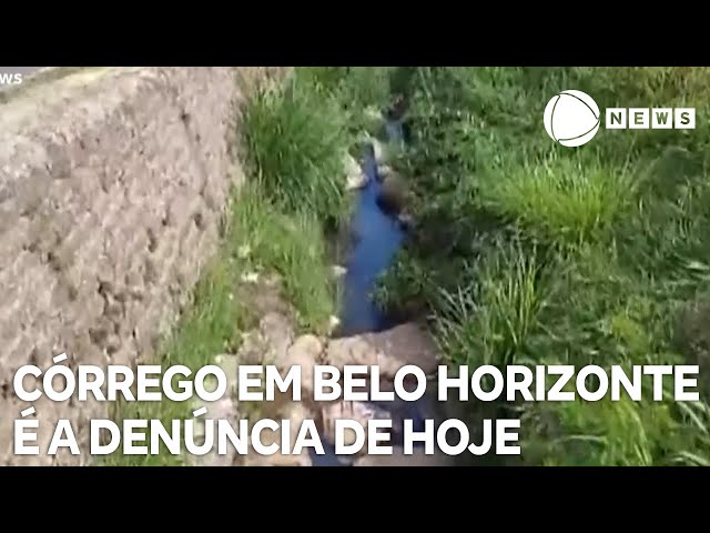 Record News contra a dengue: córrego em Belo Horizonte é a denúncia de hoje