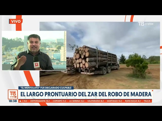 Líder del robo de madera: Justicia declara culpable a "El Mentolato"