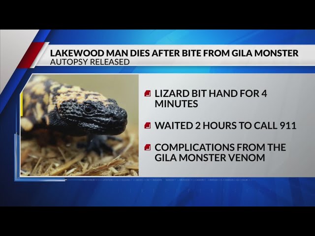 ⁣Autopsy report details deadly Gila monster bite in Lakewood