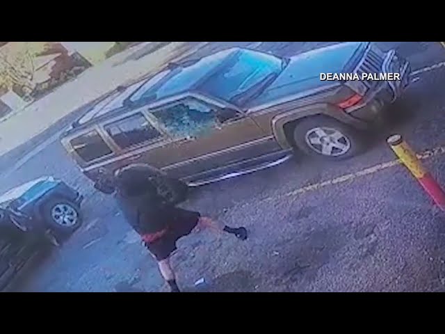 Caught on camera: Denver thief smashes window with rock